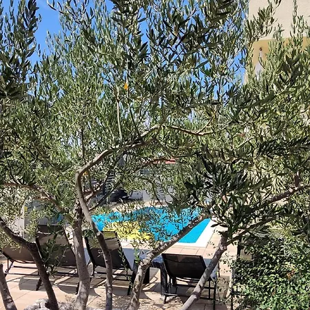 Apartment My Dalmatia - Sea View Roza With Shared Swimming Pool Sibenik
